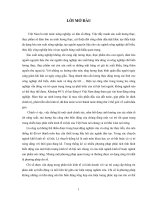 Vận dụng phương pháp chỉ số trong phân tích tình hình biến động năng suất, sản lượng lúa vụ mùa ở xã mai lâm năm 2007 với năm 2005