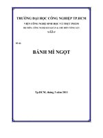 Bài tiểu luận bánh mì ngọt