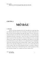 Đề tài khảo sát các yếu tố ảnh hưởng đến hiệu suất trích ly dầu gấc