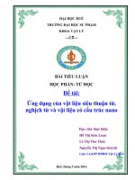 tiểu luận môn từ học vật liệu từ và ứng dụng