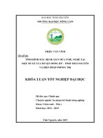 Tình hình mắc bệnh giun đũa ở bê, nghé tại một số xã của huyện Đồng Hỷ  tỉnh Thái Nguyên và biện pháp phòng trị