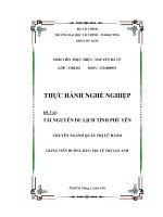 Đề Xuất Giải Pháp Phát Triển Du Lịch Tỉnh Phú Yên