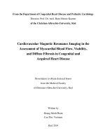 Cardiovascular magnetic resonance imaging in the assesment of myocardial blood flow, viability, and diffuse fibrosis in congenital and acquired heart disease