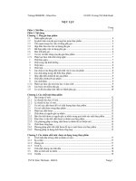 Luận văn Tốt nghiệp Phụ gia thực phẩm