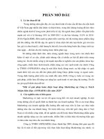 Một số giải pháp hoàn thiện hoạt động marketing tại Công ty Trách nhiệm hữu hạn Anpharma đến năm 2020