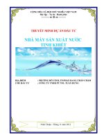 Dự án đầu tư nhà máy sản xuất nước tinh khiết