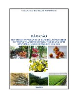báo cáo quy hoạch vùng sản xuất nông nghiệp hàng hóa tập trung tp Uông Bí tỉnh quảng ninh đến năm 2015 định hướng đến năm 2020