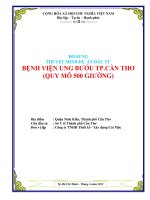 DỰ án đầu tư BỆNH VIỆN UNG bướu TP cần THƠ (QUY mô 500 GIƯỜNG) 