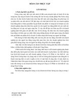 Tổ chức kế toán tiền lương và các khoản trích theo lương tại công ty cổ phần tư vấn thiết kế  xây dựng nam cường 