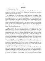 Tiểu luận quản lý tài chính các trường đại học công lập ở việt nam 