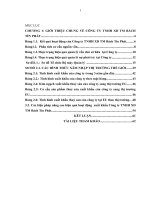 Một số biện pháp nhằm nâng cao hiệu quả hoạt động  xuất khẩu công ty TNHH XD TM bách tín phát 