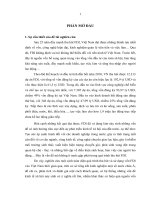 Tiểu luận những vấn đề kinh tế xã hội nảy sinh trong đầu tư trực tiếp nước ngoài của một số nước châu á và giải pháp cho việt nam 