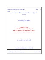 Nghiên cứu giảm đau trong chuyển dạ bằng gây tê ngoài màng cứng phối hợp bupivacaine với fentanyl