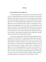 Tiểu luận hoàn thiện hệ thống chỉ tiêu phân tích tài chính trong các công ty cổ phần niêm yết trên thị trường chứng khoán việt nam 