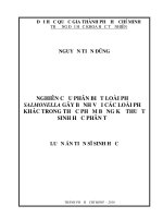 Nghiên cứu phân biệt loài phụ salmonella gây bệnh với các loài phụ khác trong thực phẩm bằng kỹ thuật sinh học phân tử