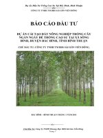 BÁO CÁO ĐẦU TƯ DỰ ÁN CẢI TẠO ĐẤT NÔNG NGHIỆP TRỒNG CÂY NGẮN NGÀY ĐỂ TRỒNG CAO SU TẠI XÃ SÔNG BÌNH, HUYỆN BẮC BÌNH, TỈNH BÌNH THUẬN