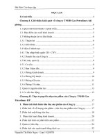 Giải pháp đẩy mạnh tiêu thụ sản phẩm của công ty TNHH gas petrolimex hải phòng 