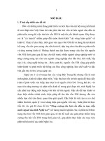Tiểu luận tăng cường thu hút vốn đầu tư trực tiếp nước ngoài (FDI) vào tỉnh nghệ an 