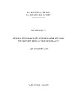 Sóng hài từ ion hóa xuyên hầm bằng laser siêu ngắn với việc nhận biết cấu trúc động phân tử