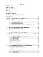 Một số giải pháp marketing ngân hàng điện tử tại Ngân hàng thương mại cổ phần Phương Đông  Chi nhánh Đồng Nai đến năm 2020