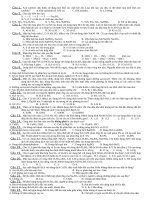 CHUONG LUU HUYNH 10 NC