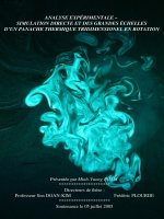 Analyse experimentale simulation directe et des grandes echelles dun panache thermique tridimensionel en rotation