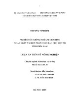 Nguồn vốn cho phát triển doanh nghiệp nhỏ và vừa trên địa bàn thành phố cần thơ