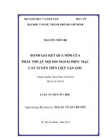 Đánh giá kết quả sớm của phẫu thuật nội soi ngoài phúc mạc cắt tuyến tiền liệt tận gốc