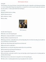 Hàn hồ quang tay, hàn que