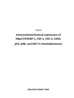 Immunohistochemical expression of HBp17 FGFBP 1, FGF 1, FGF 2, CD34, p53, pRB, and ki67 in ameloblastomas