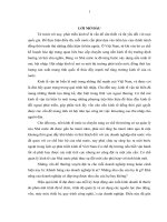 Nâng cao hiệu quả khai thác đội tàu của công ty TNHH thương mại thịnh long 