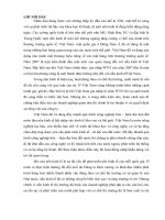 Một số biện pháp nhằm nâng cao hiệu quả kinh doanh nhập khẩu đường dây tải điện của công ty cổ  phần đầu tư xây dựng và phát triển năng lượng phúc khánh 
