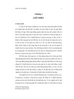 Luận văn Sử dụng các dòng vi khuẩn phòng trừ vi khuẩn gây bệnh héo xanh trên cây cà chua