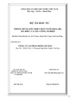 Dự án đầu tư trồng rừng kết hợp chăn nuôi heo, bò, đà điểu, cá sấu công nghiệp