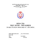 BÁO cáo THỰC HÀNH – THÍ NGHIỆM TIN học ỨNG DỤNG TRONG điện tử   VIỄN THÔNG 