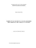 Nghiên cứu sự sắp xếp các DNA oligomer trên nhiễm sắc thể vi khuẩn và nấm men