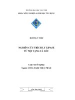 Luận văn tốt nghiệp Nghiên cứu trích ly lipase từ nội tạng cá lóc
