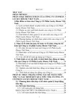 Hoàn thiện công tác kế toán tiêu thụ và xác định kết quả tiêu thụ của Công ty Cổ Phần Lucky House Việt Nam