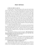 Luận văn thạc sĩ kinh tế đề tài hoàn thiện phân tích hiệu quả hoạt động trong ngân hàng thương mại