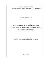 Cách mạng hoa nhài tunisia năm 2011 nguyên nhân, diễn biến và những bài học 