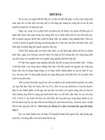 Tính toán các thông số cơ bản của tháp làm ngọt khí bằng MEA 