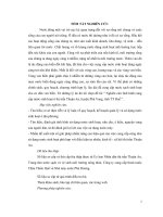 Nghiên cứu tình hình cung cấp nước sinh hoạt ở thị trấn thuận an, huyện phú vang, tỉnh thừa thiên huế 