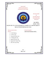 Tìm hiểu đặc điểm, thuộc tính, nguồn gốc của xăng sinh học e5, nghiên cứu trường hợp thành phố quảng ngãi áp dụng việc sử dụng xăng sinh học e5