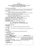 Thế giới thực vật, rau là nguồn dinh dưỡng của bé