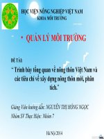 Đề tài Trình bày tổng quan về nông thôn Việt Nam và các tiêu chí về xây dựng nông thôn mới