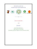 Chất thải chăn nuôi hiện trạng và giải pháp