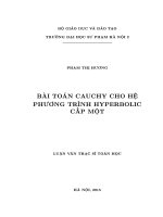 Luận văn bài toán cauchy cho hệ phương trình hyperbolic cấp một