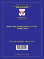 Đánh giá độ tin cậy lưới điện phân phối tỉnh hậu giang