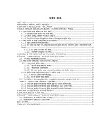 Tổ chức công tác kiểm toán tại công ty TNHH GRANT THORNTON việt nam