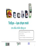 Contactor for motor schneider